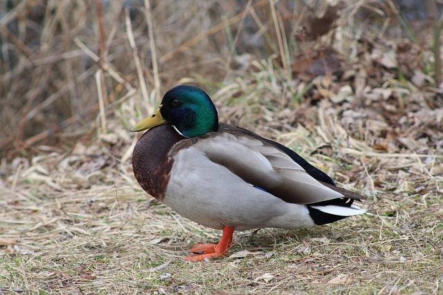 Krydsord for begyndere: Undgå de klassiske fejl