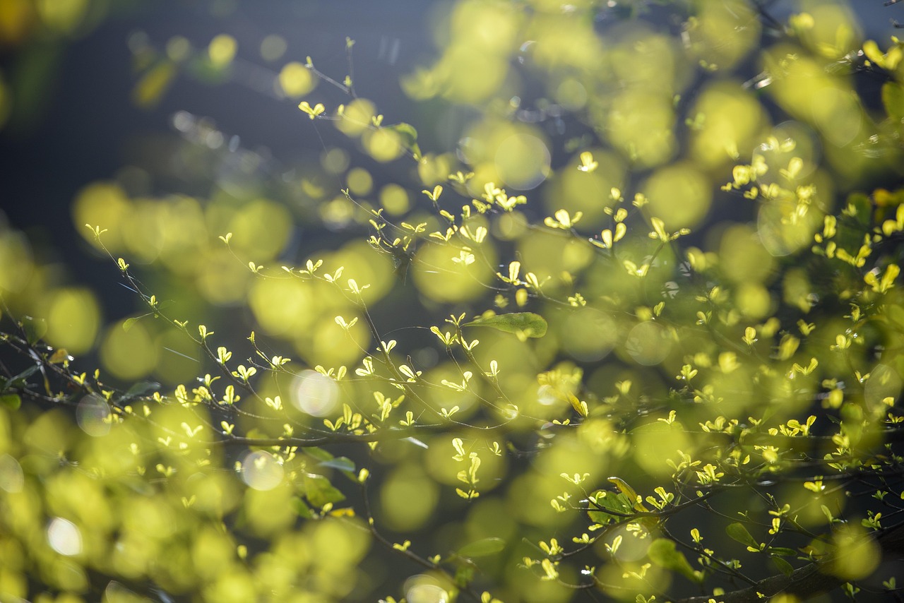 Layering: Sådan kombinerer du flere armbånd for et unikt udtryk